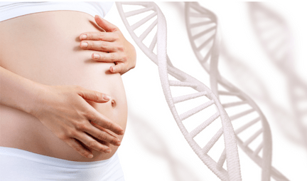 Exame NIPT Panorama: Tudo sobre o Teste Pré-natal não invasivo