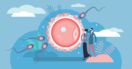 Reprodução assistida: conheça os métodos e técnicas disponíveis, e o processo da fertilização em laboratório