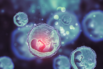 PGT-P, PGT-A, PGT-M e PGT-SR: testes genéticos do embrião para fertilização