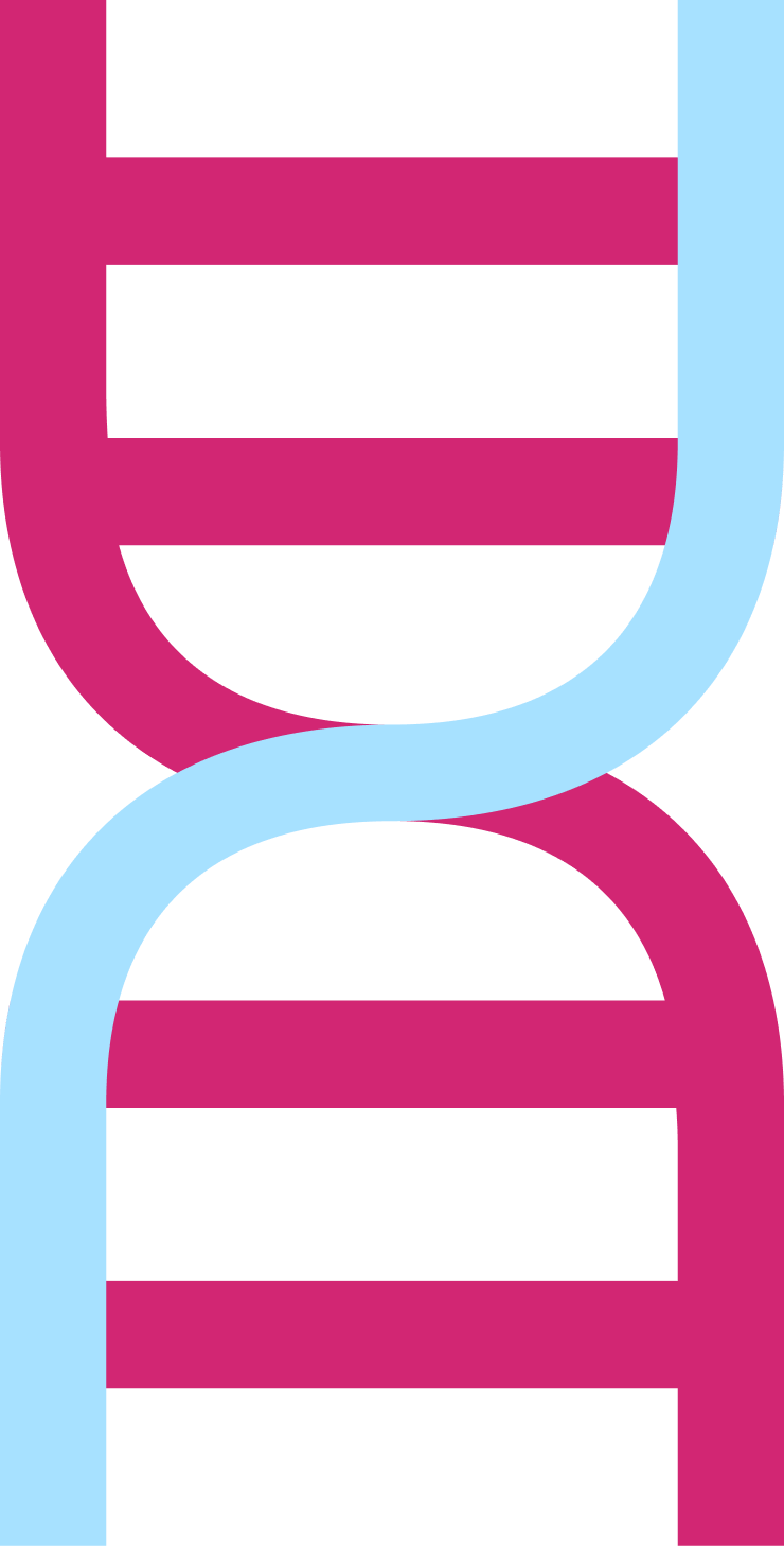 Genética